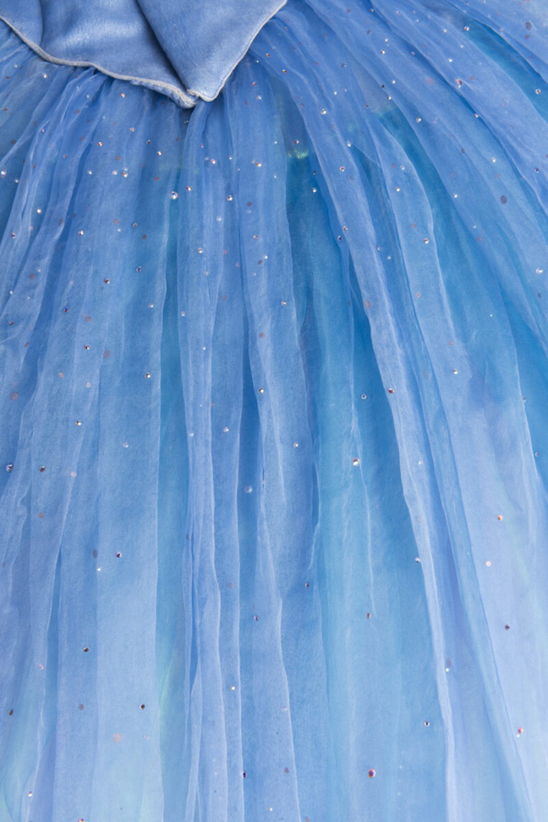 Photo 2 Cinderella Ball Gown Detail