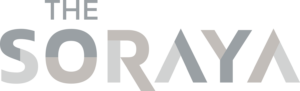 SRYA Informal Logo